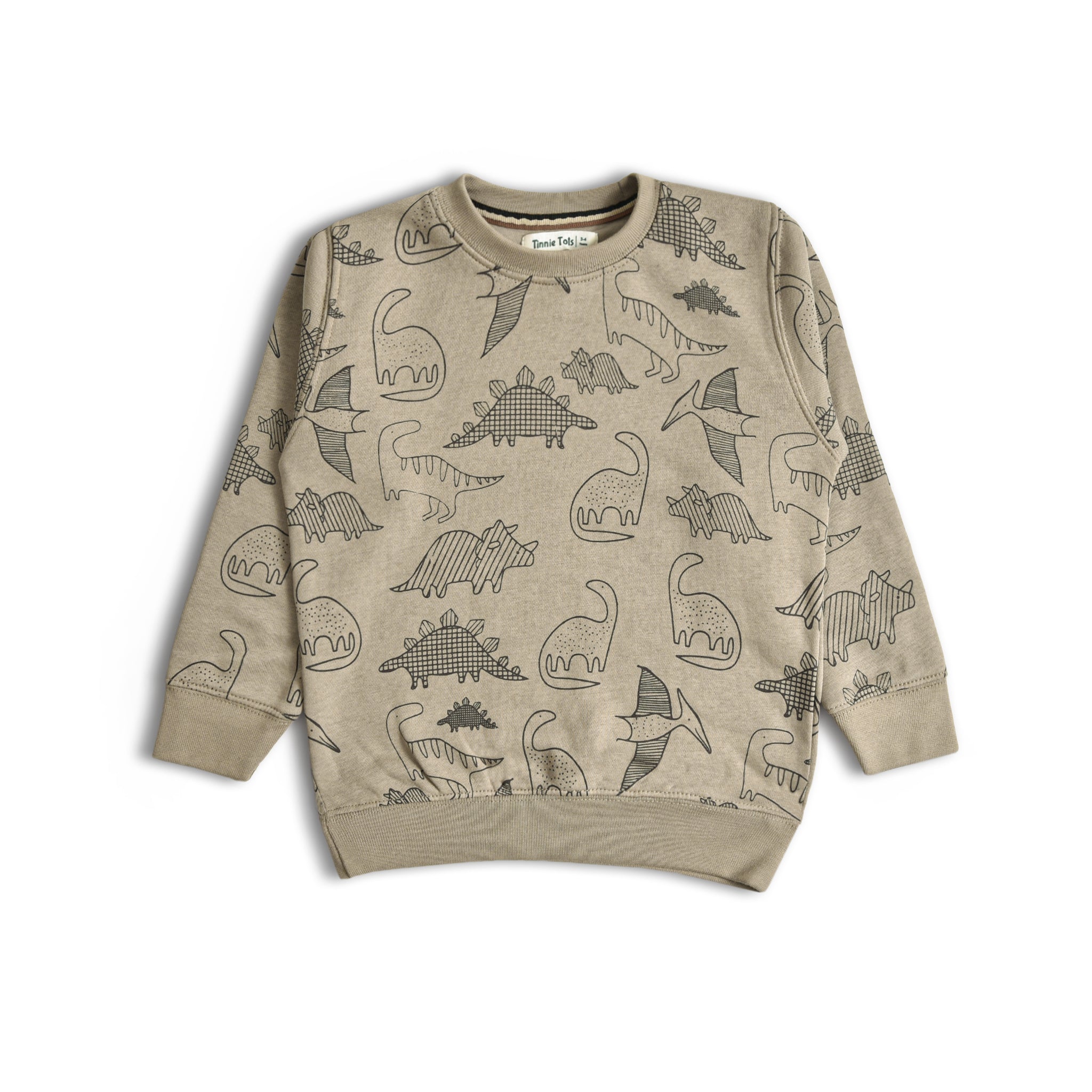 Dino Sweatshirt