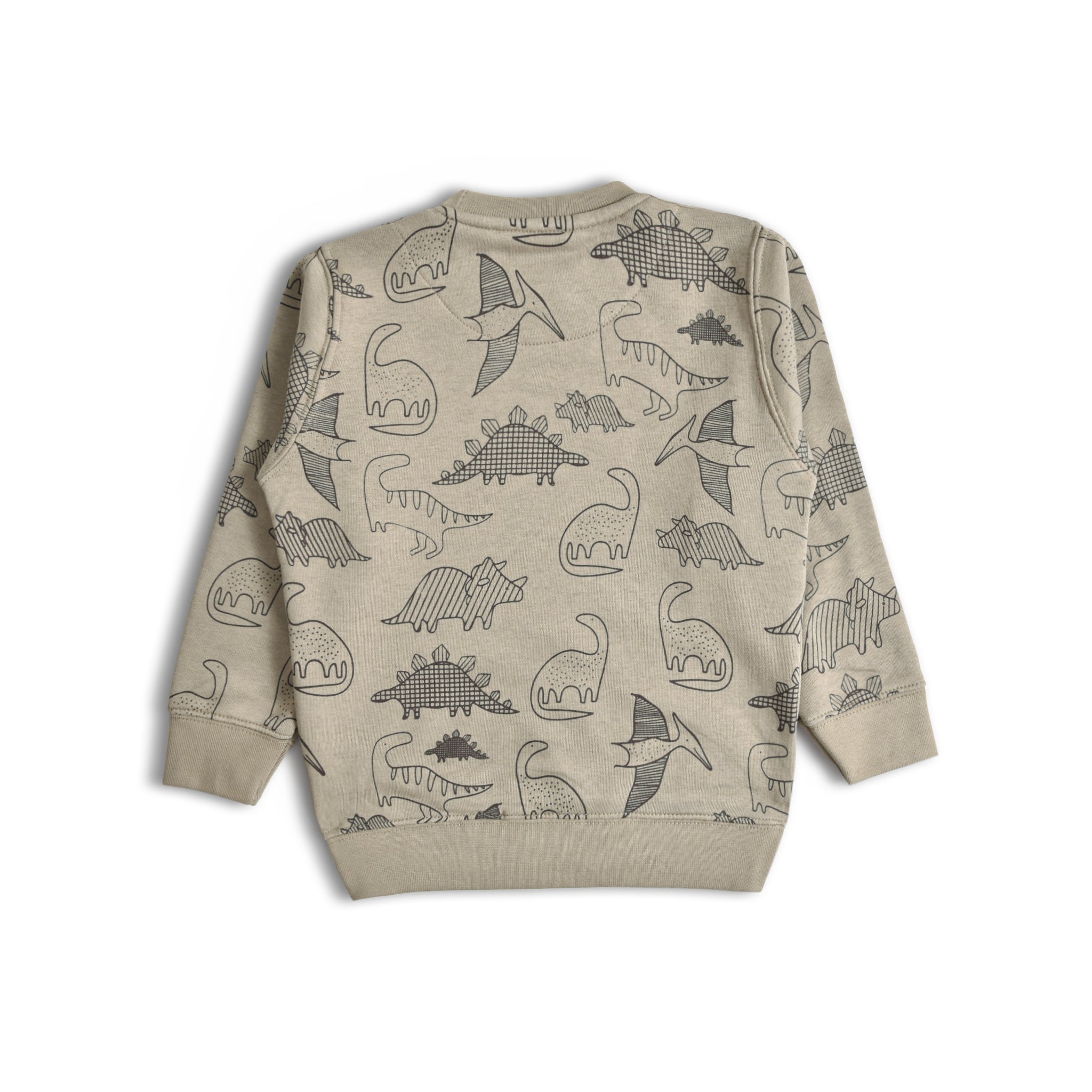 Dino Sweatshirt